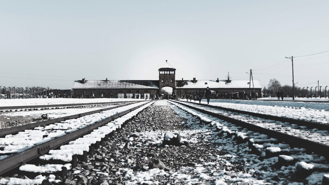 Dopo la Shoah: il dramma dei sopravvissuti.